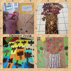 Drzewo życia” z okazji Dnia Drzewa 11.10.2021r. Trzylatki poznały nazwy drzew rosnących w ogródku przedszkolnym i wykonały wspólnie przestrzenną pracę plastyczno – techniczną pt. Drzewo życia. Najbardziej podobały im się slalomy i zabawy ruchowe pośród drzew. 